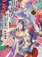 Futsutsuka-na-Akujo-dewa-Gozaimasu-ga-Suuguu-Chouso-Torikae-Den-Novel