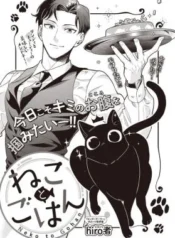 Neko-to-Gohan